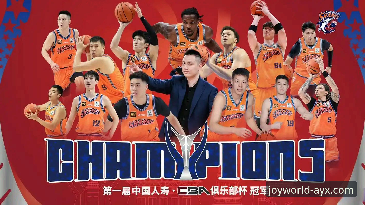 AYX体育App体验 上海男篮十二连胜背后的战术体系与联盟格局深度解析