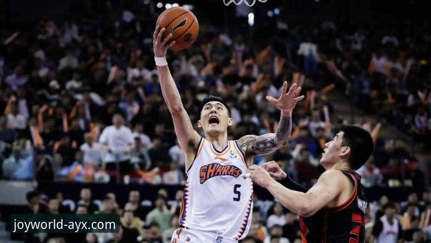 AYX体育App体验 上海男篮十二连胜背后的战术体系与联盟格局深度解析